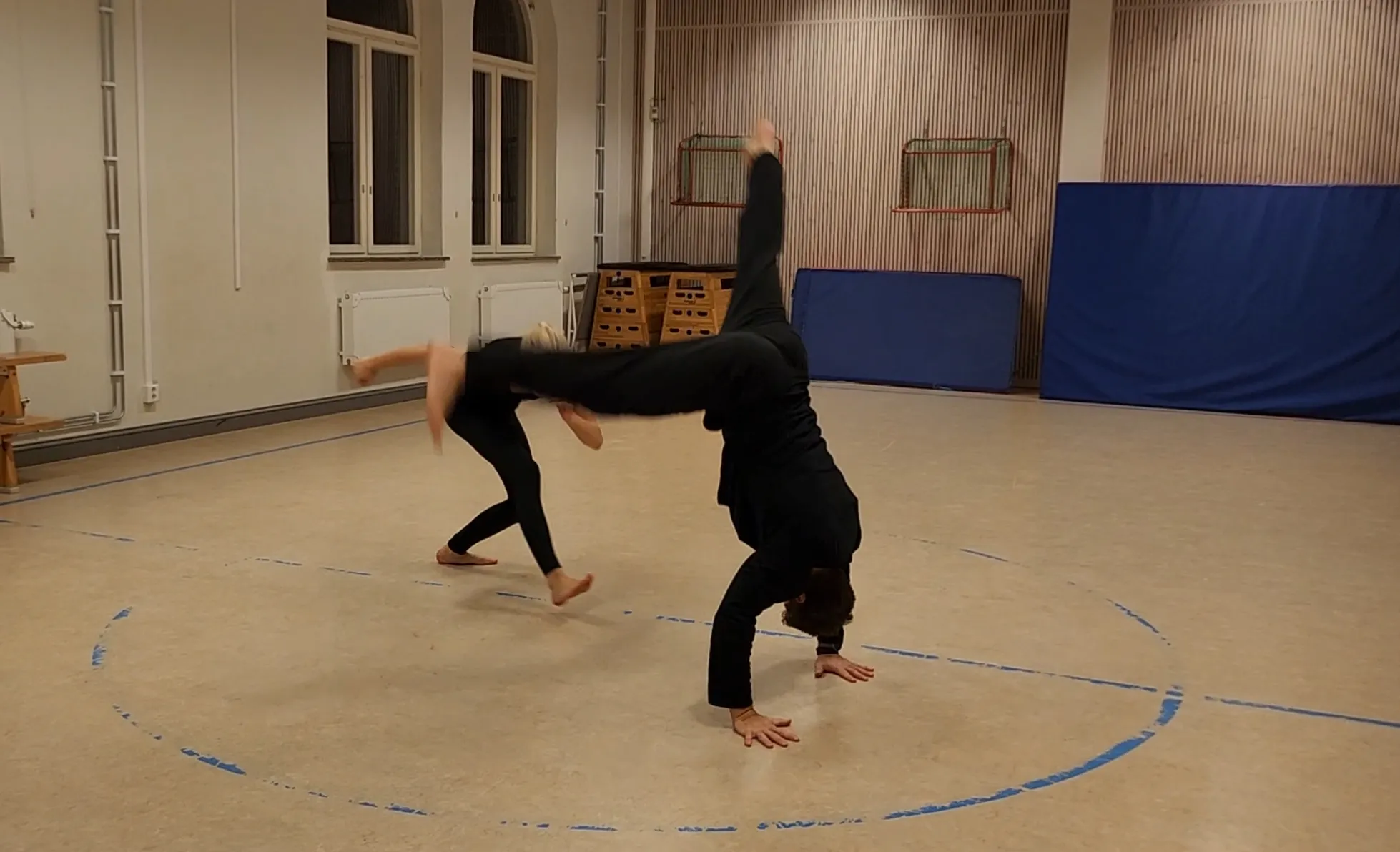 privatlektion i capoeira - boka ett privatpass