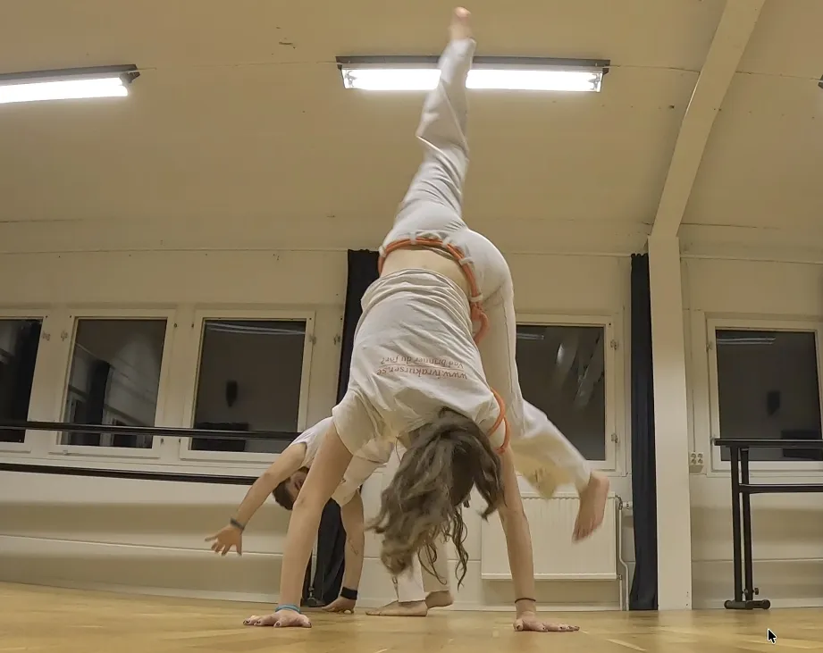 one on one lektion i capoeira