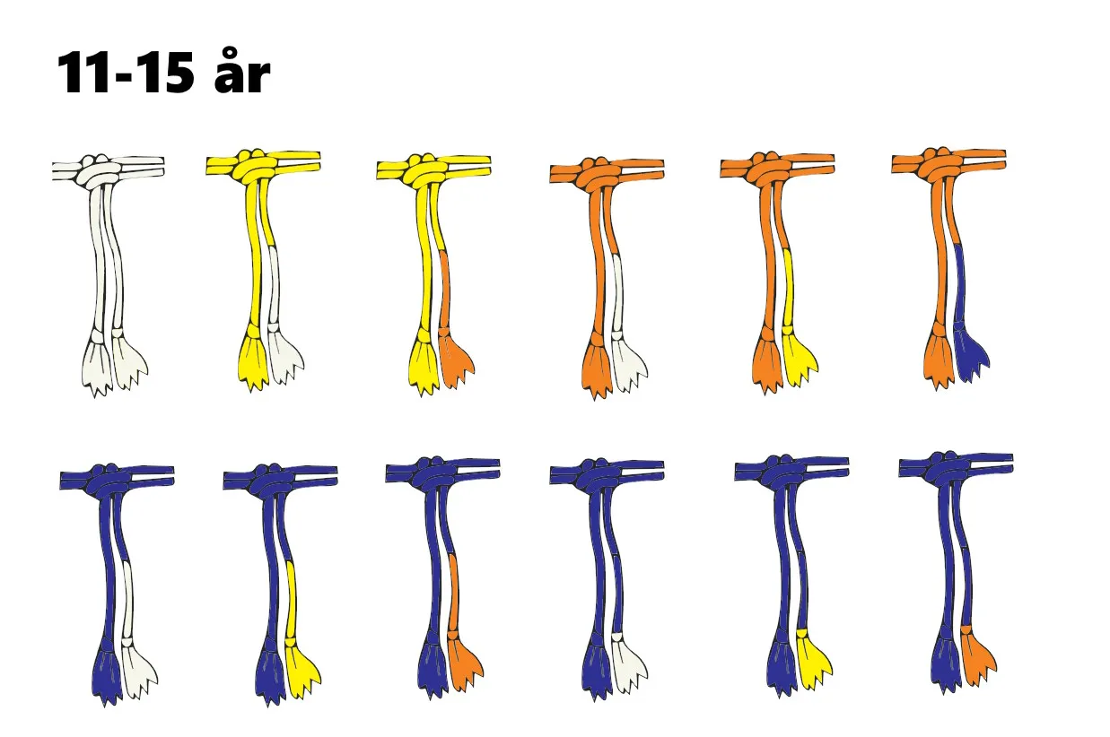 Capoeira Gradering för Barn och Ungdomar 11-15 år