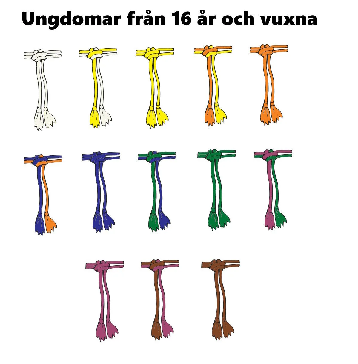 Capoeira Gradering för vuxna